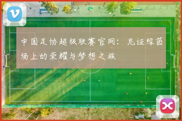 中国足协超级联赛官网：见证绿茵场上的荣耀与梦想之旅