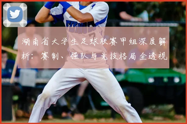 湖南省大学生足球联赛甲组深度解析:赛制、强队与竞技格局全透视